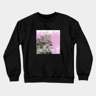 Gelato Crewneck Sweatshirt